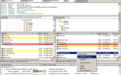 cPanel File Manager vs FTP