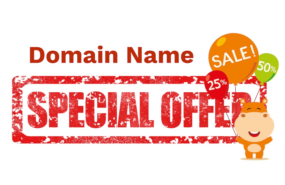 Domain Name Special Offer