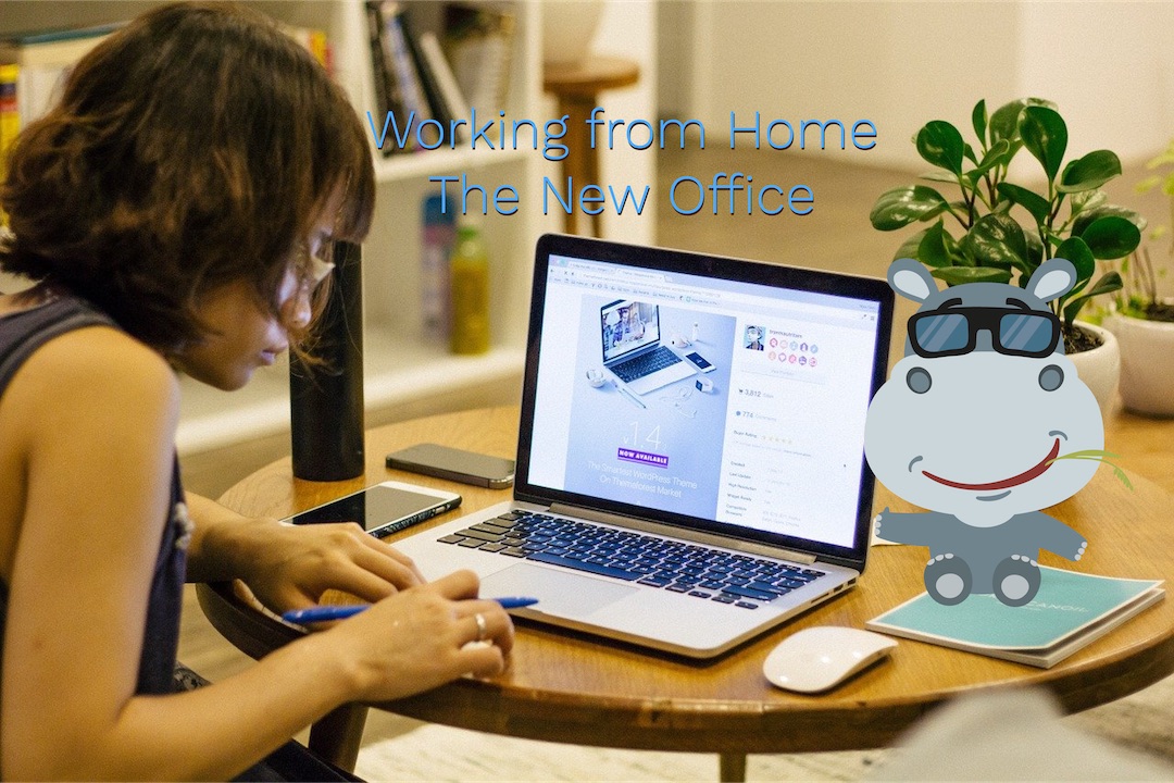 Working From Home - Your New Office