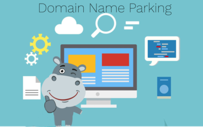 Why Park Domain Names?