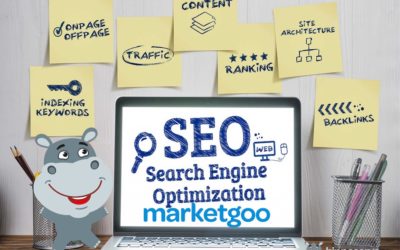 SEO Tools From Marketgoo