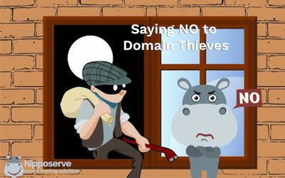 Saying No To Domain Thieves