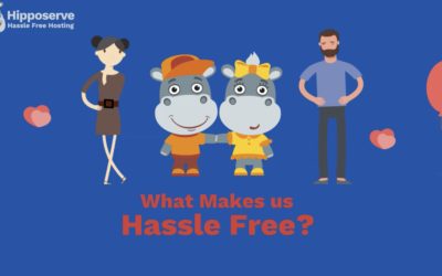What Makes Us Hassle Free